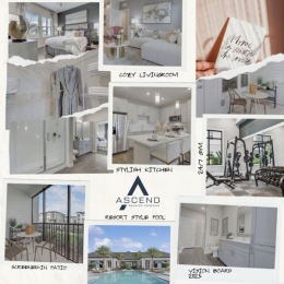 collage of images with a logo overlay